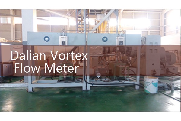 Zhejiang Cangnan flowmeter